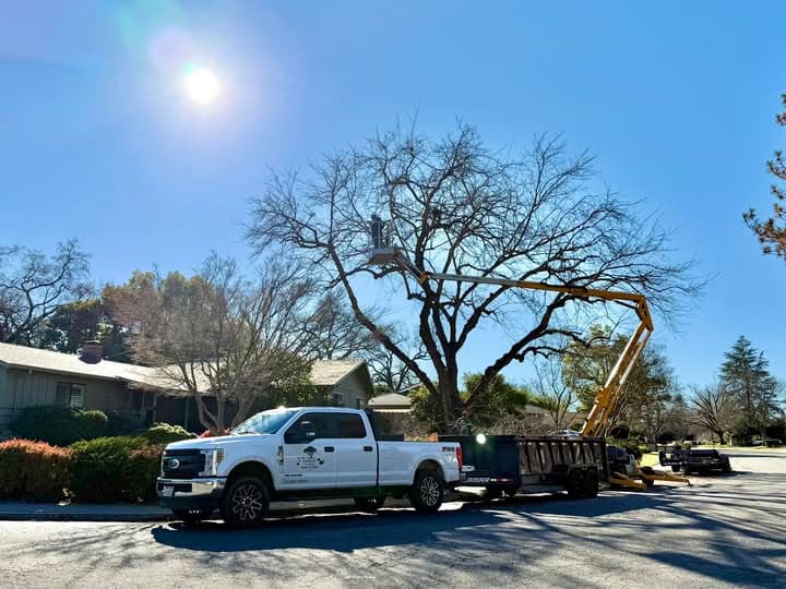 Conley Tree and Brush truck on a Northern California tree service job