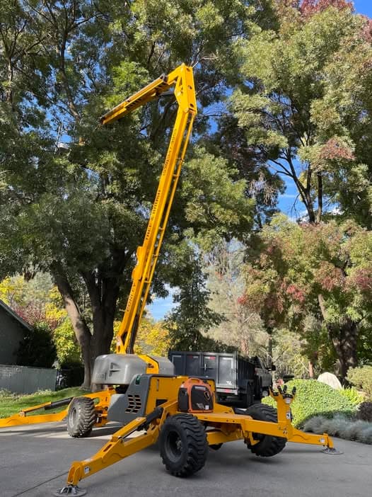 Conley Tree and Brush tree removal project in Northern California
