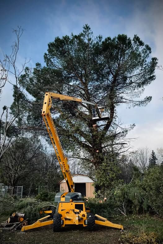 Tree trimming service near Redding CA by Conley Tree and Brush