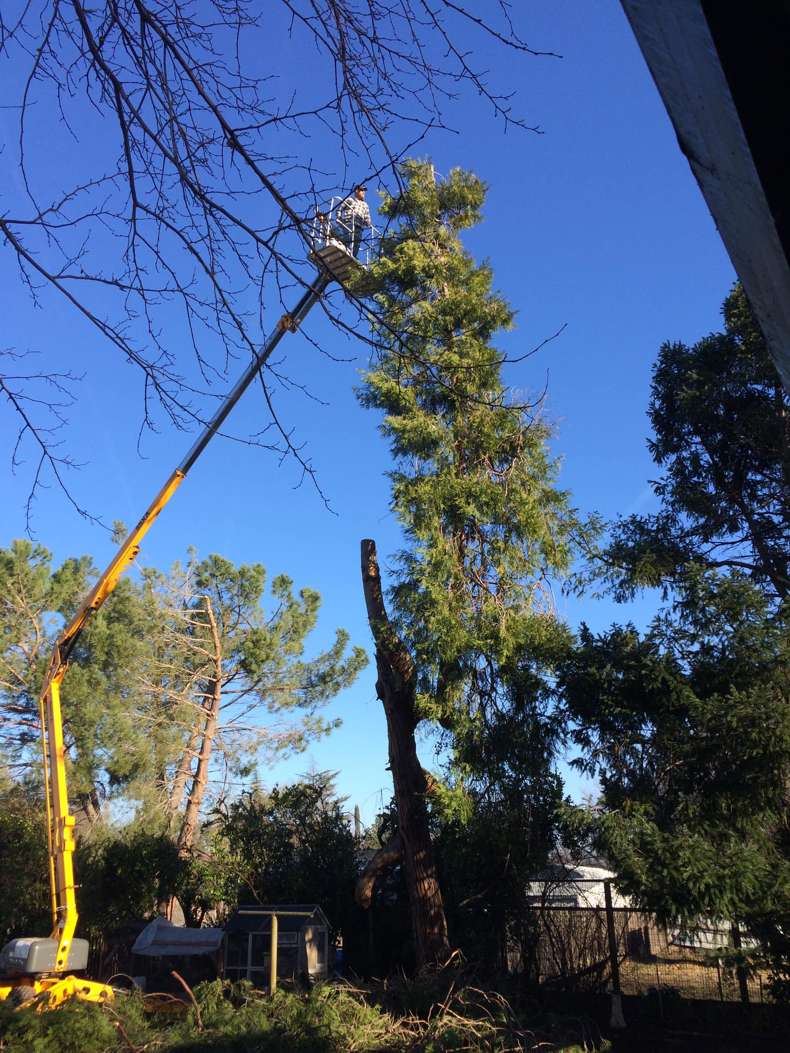 Storm cleanup tree service in Nor-Cal